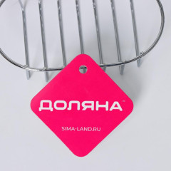 Мыльница ДОЛЯНА подвесная овальная, серебристая (2506496)