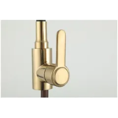 Смеситель для кухни FRUD R42052-33 нерж. сталь, золото