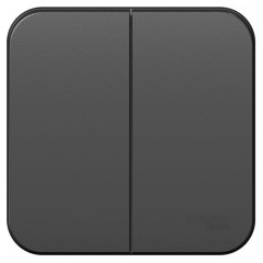 Выключатель О/У 2-кл BLANCA 10А  изол. пласт. антрацит SchE BLNVA105016