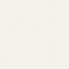 Обои 316308 RASCH/SHIFON винил на флизелиновой основе 1,06*10 (6)