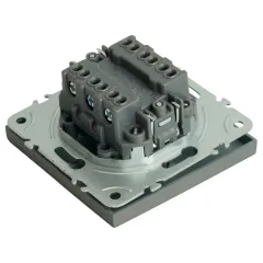 Переключатель 2-кл ЭМИЛИ платиново-серый RSW10-5107-10