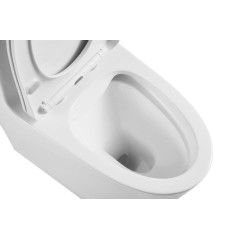 Унитаз-монолит EVA GOLD SM5003 сиденье ДП, безободковый, с гофрой и гибкой подводкой