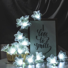 Гирлянда LUAZON LIGHTING 