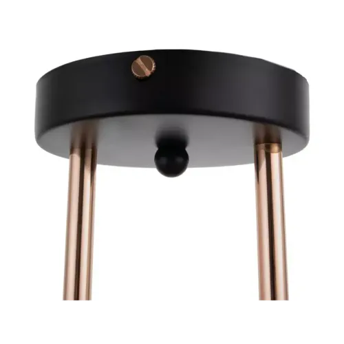 Светильник ЭкономСвет 12144/3BK+FGD AMB