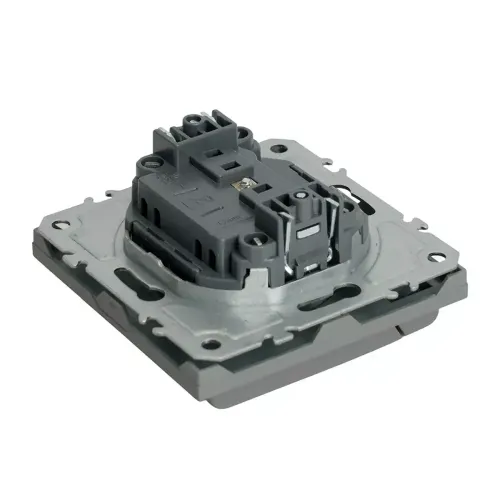 Розетка 2P ЭМИЛИ защ.шторки с крышкой платиново-сер RST16-5113-10