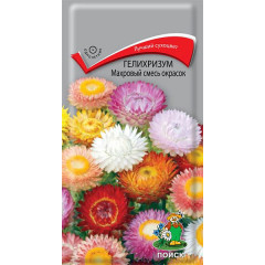 Семена Цветы Гелихризум Махровый смесь окрасок (333265)