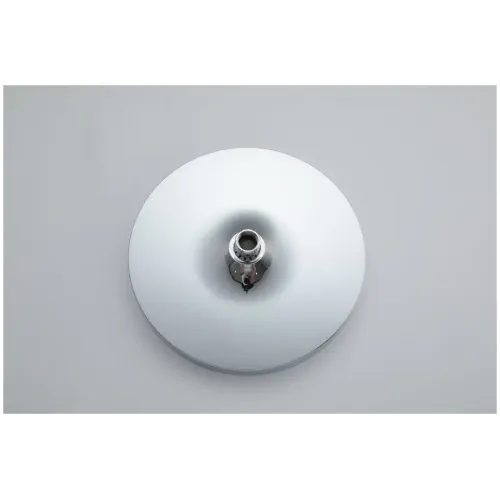 Насадка для душа FRAP F015-25 тропическая 25х25см, хром