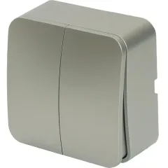 Выключатель О/У 2-кл STEKKER серебро  MSW10-20-03 49297