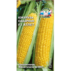 Семена Кукуруза Сахарная Атлет F1 (158291)