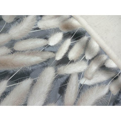 Обои 108219 Fox Степь винил на флизелиновой основе 1,06*10 (6)