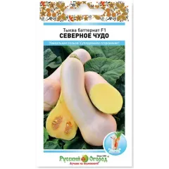 Семена Тыква Баттернат Северное чудо F1 (491225)