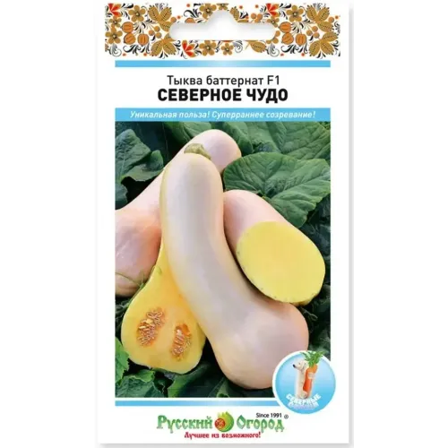 Семена Тыква Баттернат Северное чудо F1 (491225)