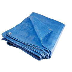 Тент универсальный TECH-TOP 4х6 м 100 г/м2 (223455)