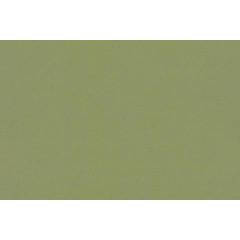 Рулонные жалюзи Блэкаут сильвер 61,5*175 цвет зеленый