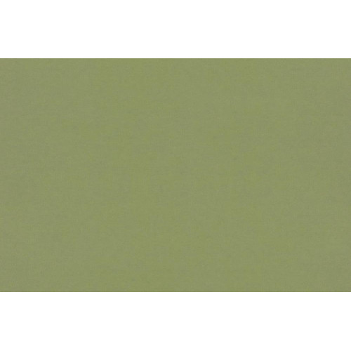 Рулонные жалюзи Блэкаут сильвер 61,5*175 цвет зеленый