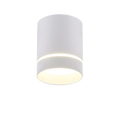 Светильник накладной ES DLR021 9W 4200K белый/матовый