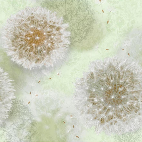 Обои Саратовские Одуванчики 828-04 гофрированные С14 0,53*10 (15)