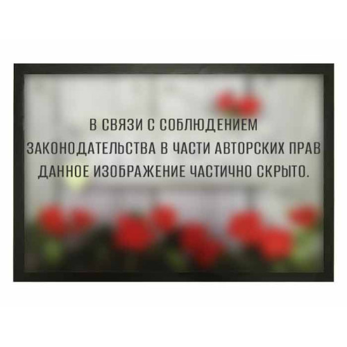 Коврик придверный 400*600мм Welcome (3415386)