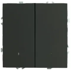 Выключатель 2-кл ЭМИЛИ с подсветкой черный RSW10-5102-05