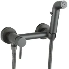 Душ гигиенический FRUD R7503-9 со смесителем, оружейная сталь