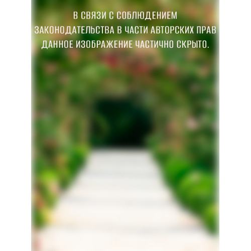 Фотопанно DIVINO DECOR Цветочная арка (В1-013) 200*270