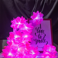 Гирлянда LUAZON LIGHTING 