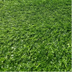 Трава искусственная Prettie Grass 50мм*2м (20м/п)