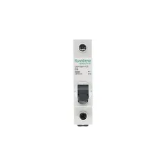 Выключатель автоматический 1-пол.  6A C 4,5кА City9 Set 230В SE C9F34106
