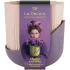 Горшок для цветов La Decoro Лаура 1,6л пудровый/сливовый (526803)