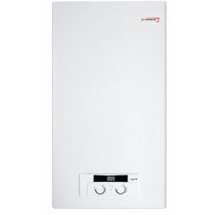 Котел газовый настенный PROTHERM Рысь 24 кВт
