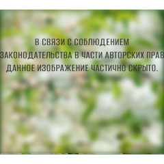 Фотообои Тула серия VIP Цветущая весна 12листов (6)