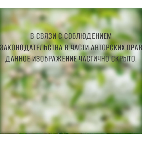 Фотообои Тула серия VIP Цветущая весна 12листов (6)
