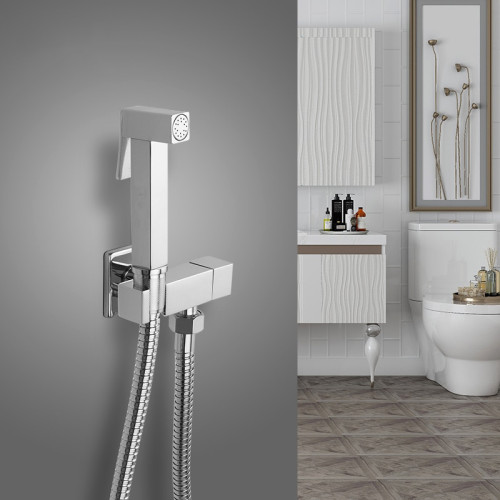 Душ гигиенический FRAP F7502 со смесителем