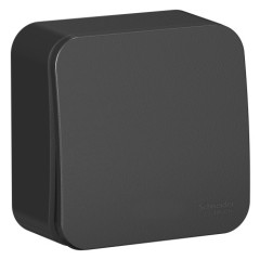 Выключатель О/У 1-кл BLANCA 10А изол. пласт. антрацит SchE BLNVA101016