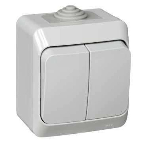 Выключатель О/У 2-кл ЭТЮД IP44 серый BA10-042C (82997)