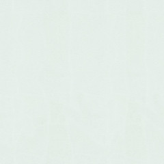 Обои 3502-5 Соло винил на флизелиновой основе 1,06*10 (6)