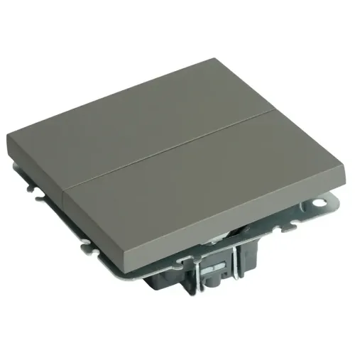 Переключатель 2-кл ЭМИЛИ платиново-серый RSW10-5107-10