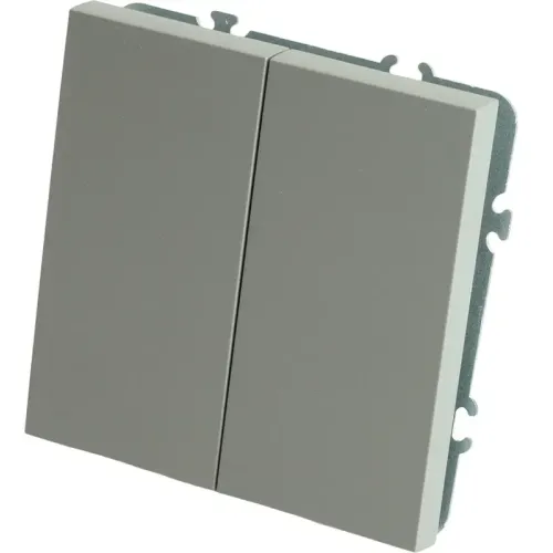 Переключатель 2-кл ЭМИЛИ платиново-серый RSW10-5107-10