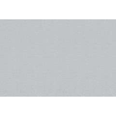 Рулонные жалюзи Гелакси 47*175 цвет серебро