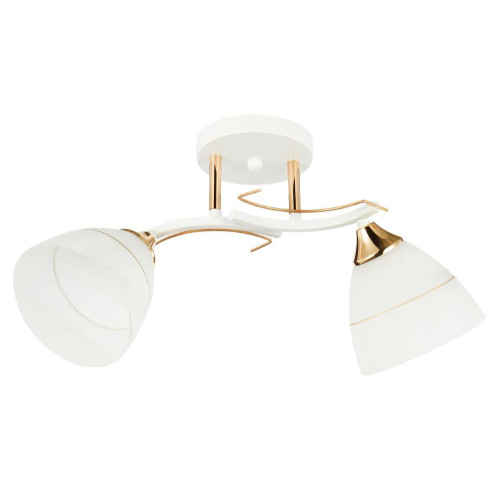 Светильник ЭкономСвет 13215/2WT FGD WT