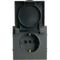 Розетка 2P+E ЭМИЛИ защ.шторки с крышкой черный RST16-5112-05