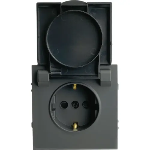 Розетка 2P+E ЭМИЛИ защ.шторки с крышкой черный RST16-5112-05