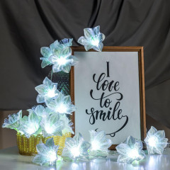 Гирлянда LUAZON LIGHTING 