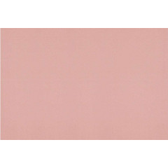 Рулонные жалюзи Блэкаут 42,5*175 цвет коралл