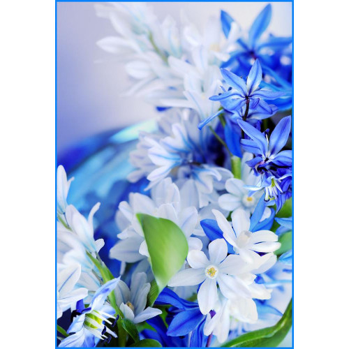 Фотообои Тула серия Эконом Изящность  (4л)