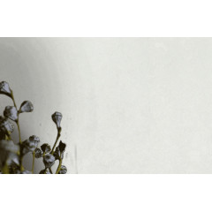 /Обои 106405 Соло Листья фон винил на флизелиновой основе 1,06*10 (6)