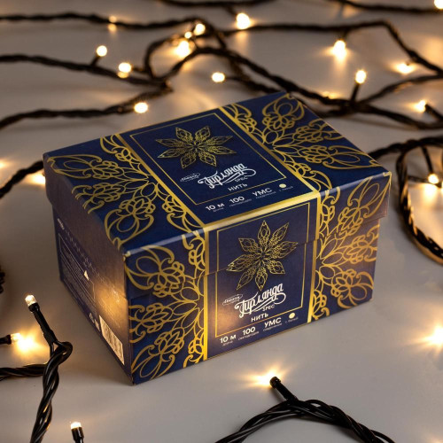 Гирлянда Нить 10м темная нить 100LED свечение теплое белое IP44 (3584087)