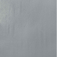 Обои Elysium 908607 Эвкалипт фон супермойка 0,53*10 (9)