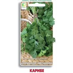 Семена Кинза Карибе (486161)