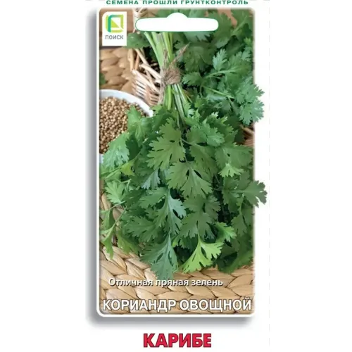 Семена Кинза Карибе (486161)